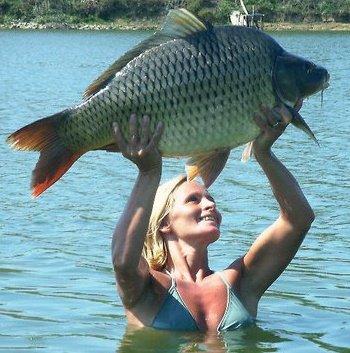 diverse - 758361603855388949423430n.jpg